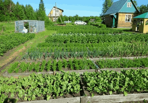 изображение_2026-07-20_160136749.png изображение_2026-07-20_160136749.png
